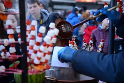 DSC_0419 (Large).JPG